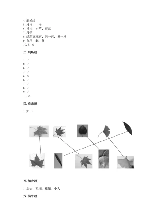 教科版一年级上册科学期末测试卷精品（基础题）.docx