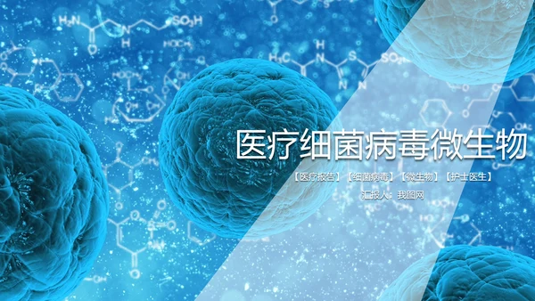 医疗细菌病毒微生物动态PPT