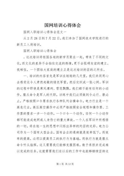 国网培训心得体会 (2).docx