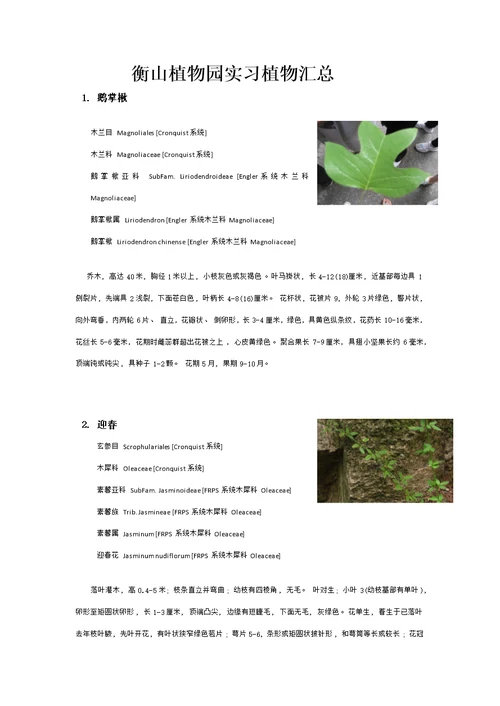 衡山植物园实习植物汇总模板