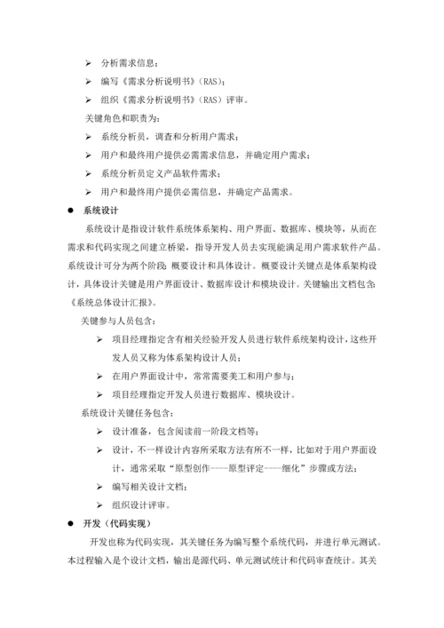 软件开发专项方案和实施安排.docx
