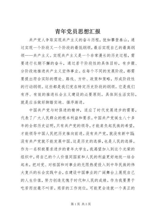 青年党员思想汇报.docx