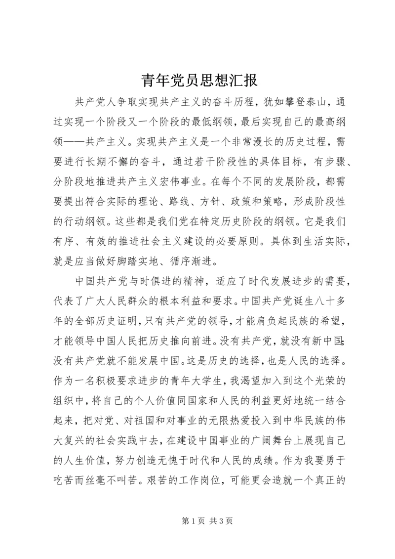 青年党员思想汇报.docx