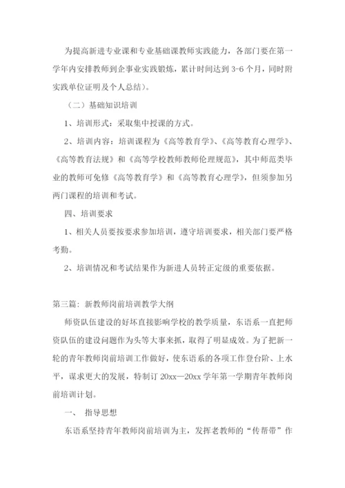 新教师岗前培训教学大纲【六篇】.docx