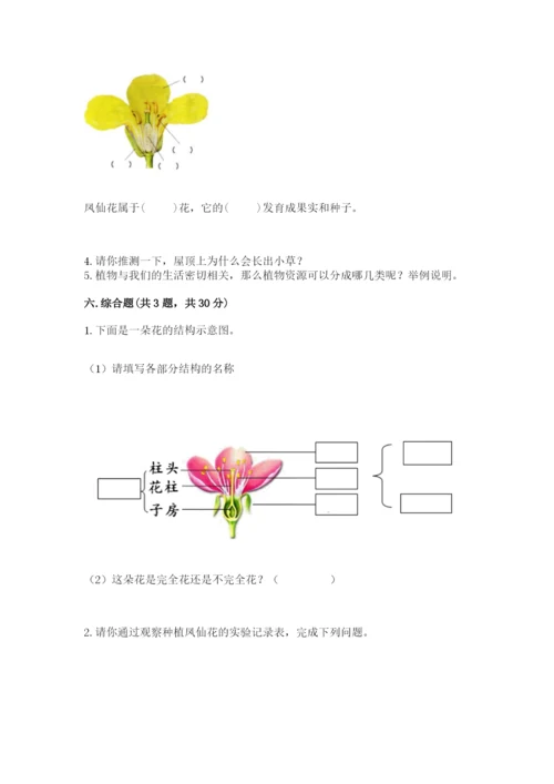 教科版四年级下册科学第一单元《植物的生长变化》测试卷含答案（巩固）.docx