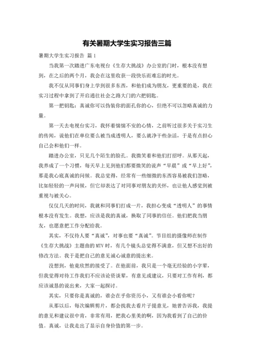 有关暑期大学生实习报告三篇.docx