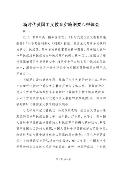 新时代爱国主义教育实施纲要心得体会.docx