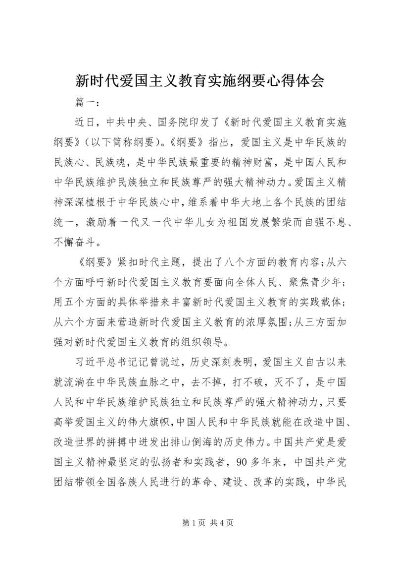 新时代爱国主义教育实施纲要心得体会.docx