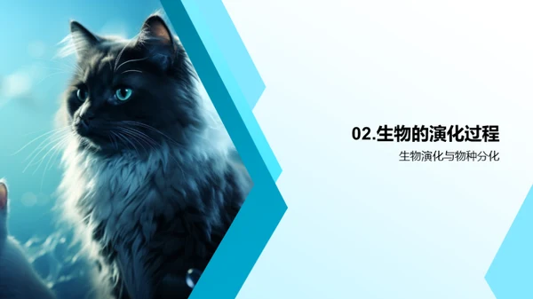生物演化与多样性
