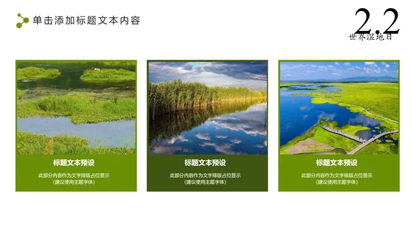 清新简约世界湿地森林日绿色环保PPT模板