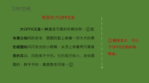 国宝大熊猫语文课教学课件通用PPT模板