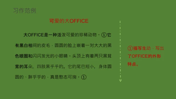 国宝大熊猫语文课教学课件通用PPT模板