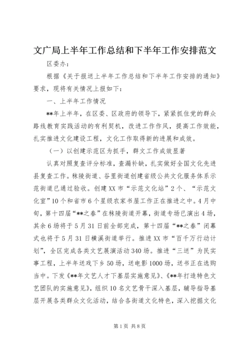 文广局上半年工作总结和下半年工作安排范文.docx