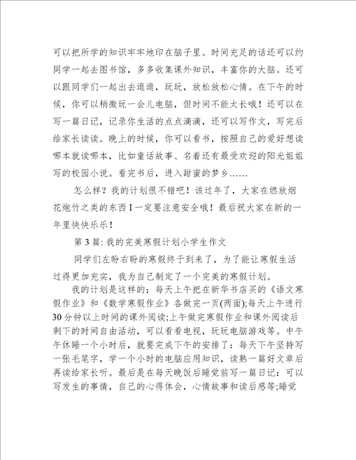 我的完美寒假计划小学生作文三篇