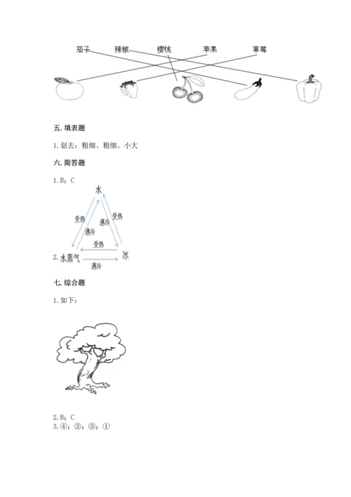 教科版科学一年级上册第一单元《植物》测试卷附参考答案（模拟题）.docx