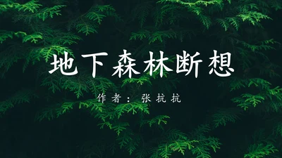 地下森林作家张抗抗作品解读PPT课件