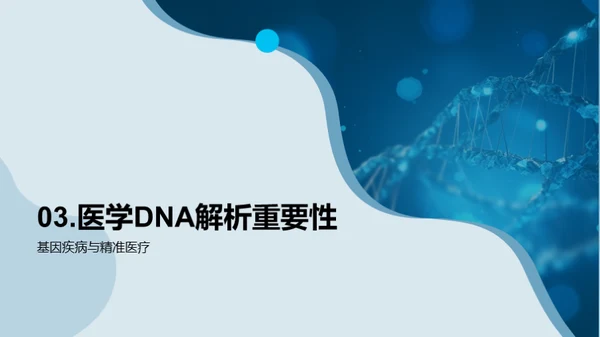 深入解析DNA