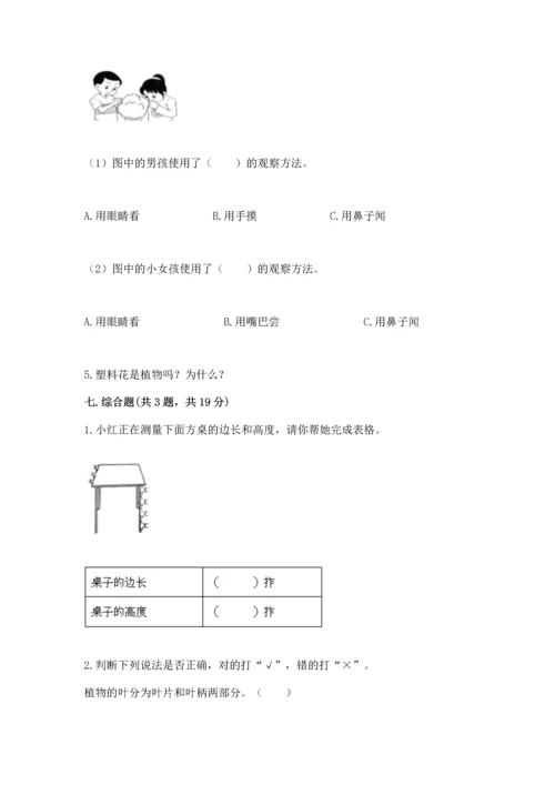 教科版科学一年级上册期末测试卷及1套参考答案.docx