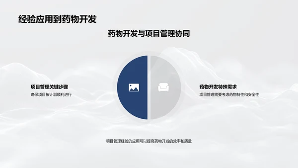 药物化学项目管理PPT模板