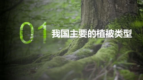 3.6 爱护植被，绿化祖国2023-2024学年七年级生物上册精品课件（人教版）(共21张PPT)