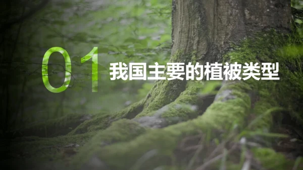 3.6 爱护植被，绿化祖国2023-2024学年七年级生物上册精品课件（人教版）(共21张PPT)