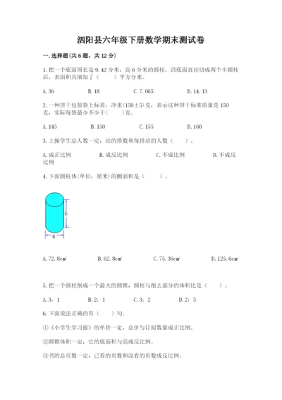 泗阳县六年级下册数学期末测试卷（能力提升）.docx