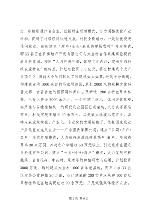 创先争优促大金村新农村建设跨越提升.docx