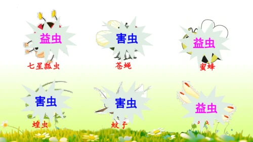 11.我是一只小虫子 课件