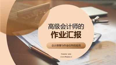 高级会计师的作业汇报