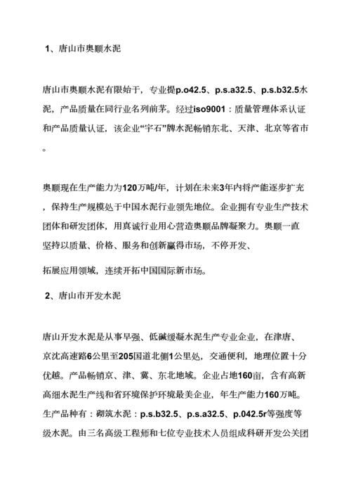 水作文之水泥企业调研分析报告.docx
