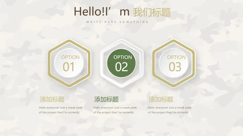 武警个人能力评测动态PPT