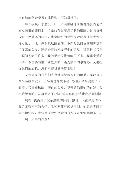 父亲的白发作文.docx