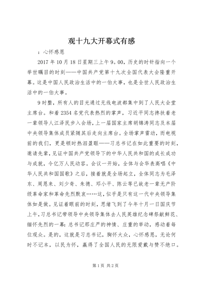 观十九大开幕式有感.docx