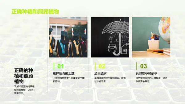 植物的奥秘世界