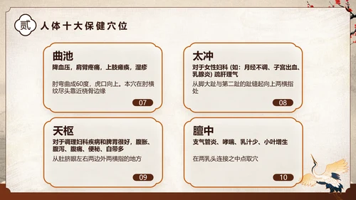 棕色中国风中医健康国风国潮中医健康宣教PPT