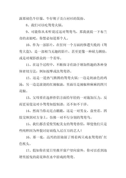 鸳鸯的解释和造句精彩2篇