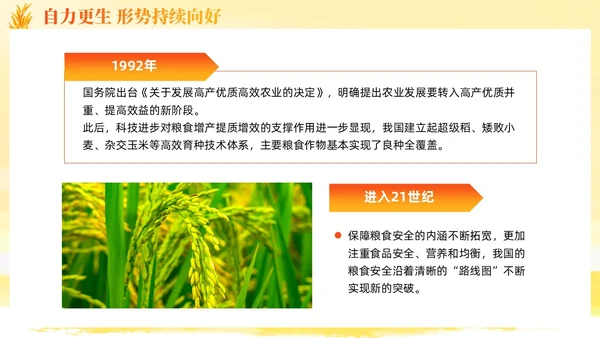 大学生形势与政策保障粮食安全的中国策ppt课件党建