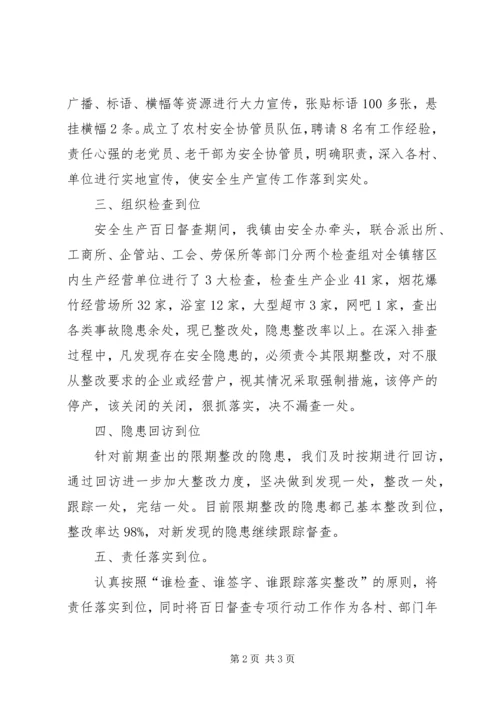 乡镇安全生产百日督查专项行动总结.docx