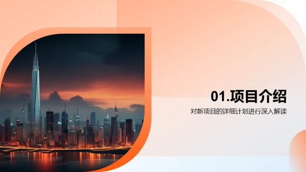 项目投资策略解析
