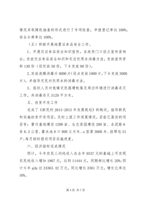 乡镇经发办工作总结.docx