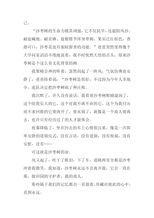 消不散的记忆作文900字.docx