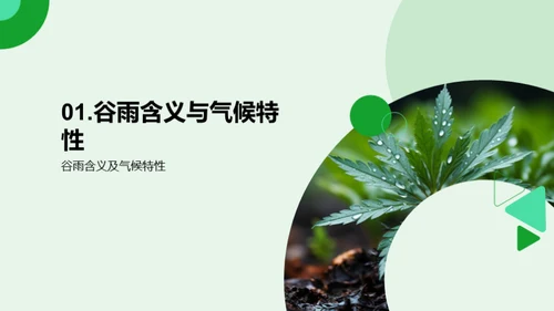 谷雨节气与环保