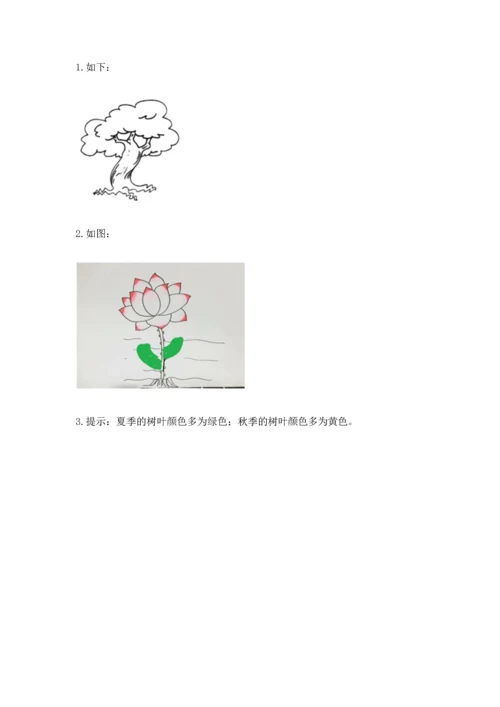 教科版科学一年级上册第一单元《植物》测试卷（培优a卷）.docx