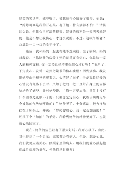 关于一次拜访的作文.docx