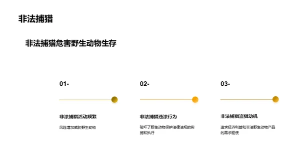 关爱野生动物，共同保护生物多样性