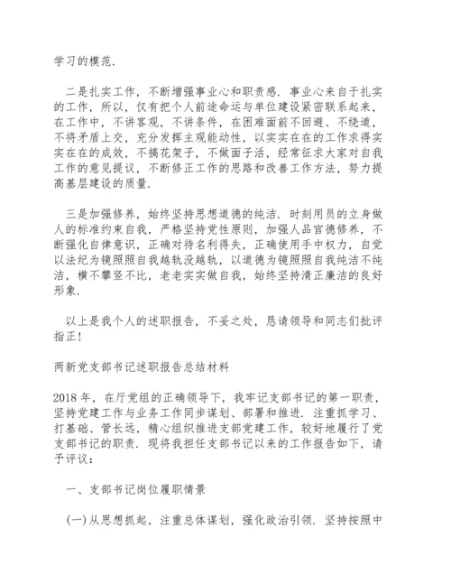 两新党支部书记述职报告总结材料.docx