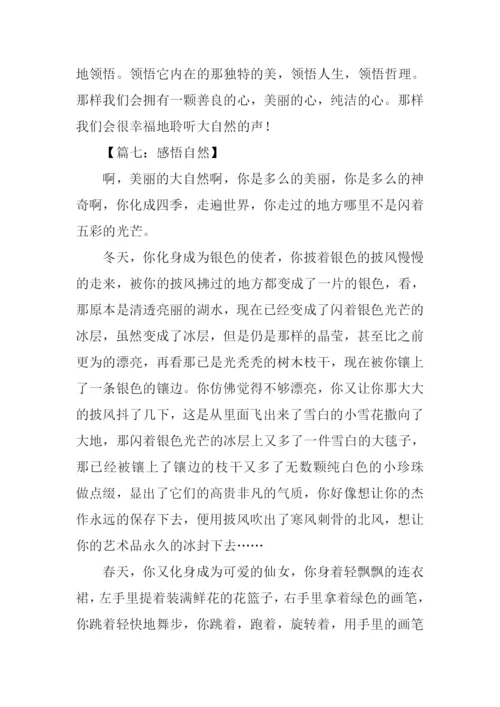 关于感悟自然的作文-1.docx