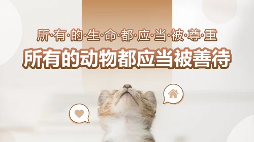 宠物领养猫咪通用PPT模板