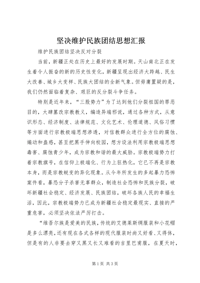 坚决维护民族团结思想汇报 (4).docx