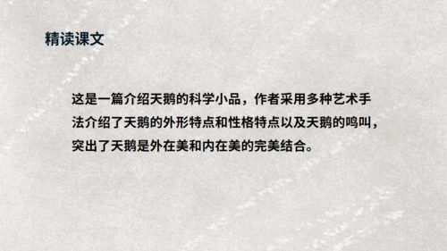 《天鹅》布丰天鹅湖通用PPT课件